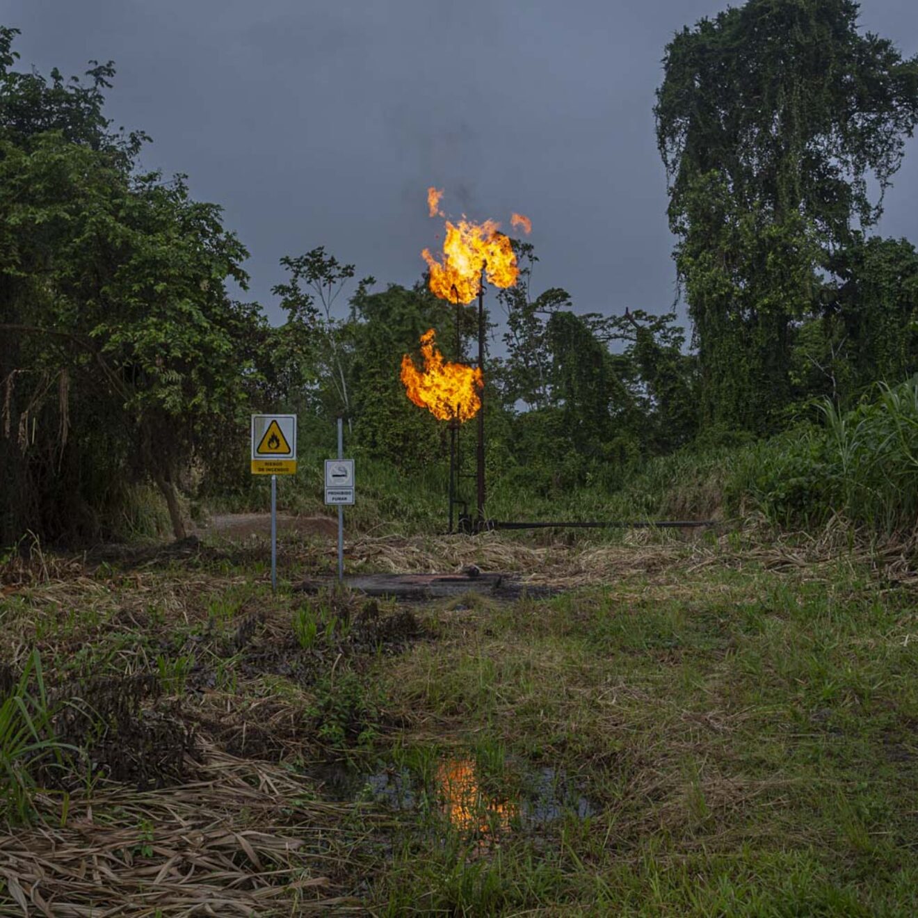 Ivan Castaneira, « Torchère située dans l’Amazonie équatorienne, appartenant à la compagnie pétrolière nationale équatorienne Petroecuador », image tirée de la série « Les écosystèmes en danger : l’empreinte toxique du pétrole ».