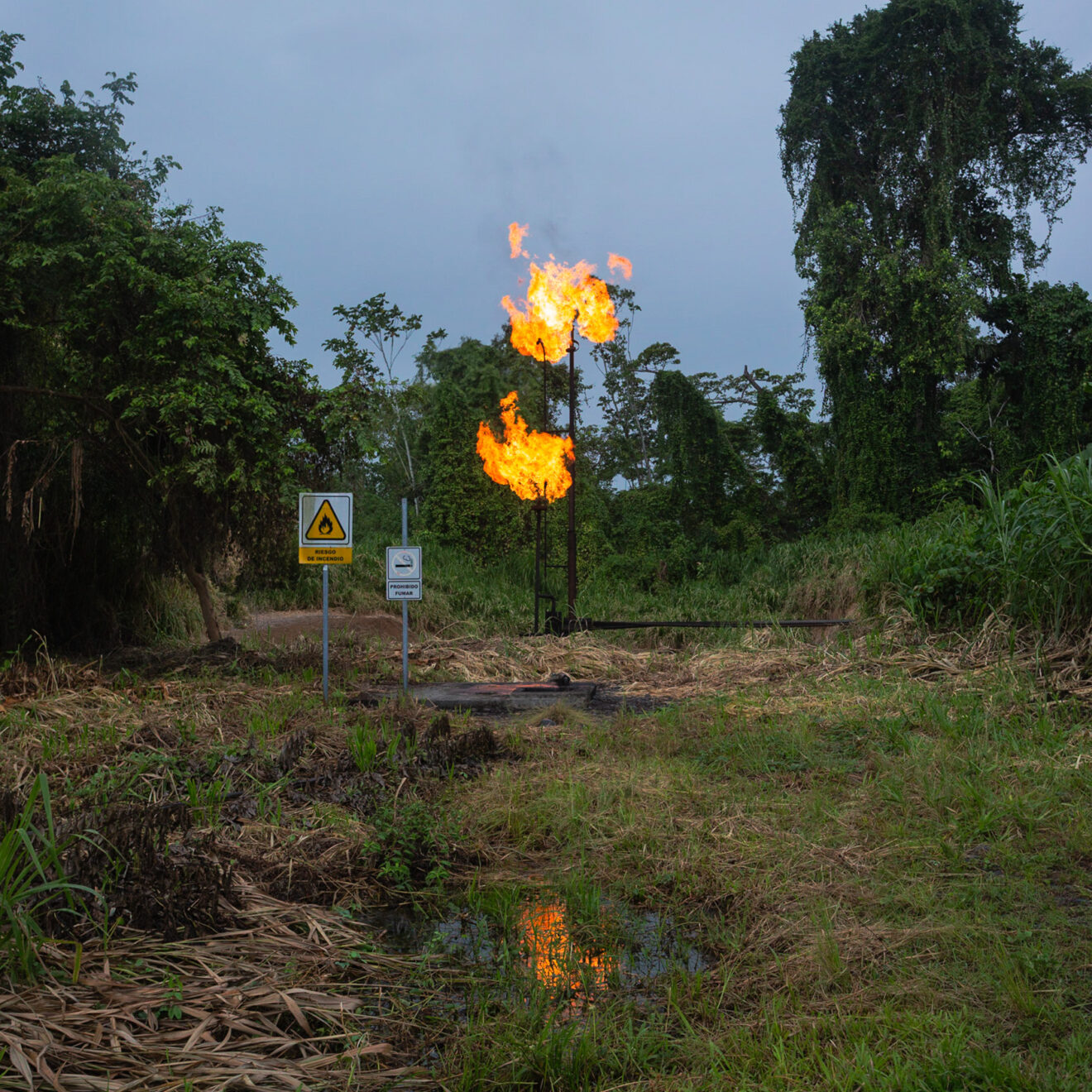 © Ivan Castaneira, Torchère située dans l’Amazonie équatorienne, appartenant à la compagnie pétrolière nationale équatorienne Petroecuador, image tirée de la série « Les écosystèmes en danger : l’empreinte toxique du pétrole ».