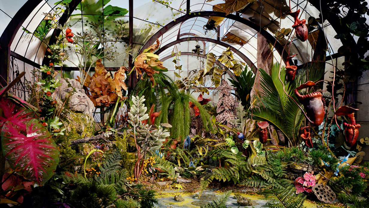 © Lorix Nix et Kathleen Gerber, « Botanic-Garden », 2008